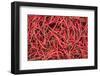 Chillies in Bukittinggi Market, West Sumatra, Indonesia, Southeast Asia, Asia-Matthew Williams-Ellis-Framed Photographic Print