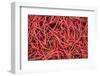 Chillies in Bukittinggi Market, West Sumatra, Indonesia, Southeast Asia, Asia-Matthew Williams-Ellis-Framed Photographic Print