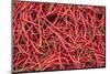 Chillies in Bukittinggi Market, West Sumatra, Indonesia, Southeast Asia, Asia-Matthew Williams-Ellis-Mounted Photographic Print