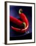 Chillies, Long Red Variety-Karl Newedel-Framed Photographic Print