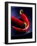 Chillies, Long Red Variety-Karl Newedel-Framed Photographic Print