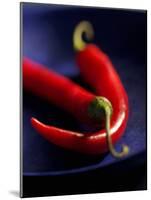 Chillies, Long Red Variety-Karl Newedel-Mounted Photographic Print