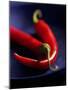 Chillies, Long Red Variety-Karl Newedel-Mounted Photographic Print