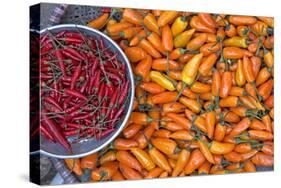 Chillies, Sapa Area, Vietnam, Indochina, Southeast Asia, Asia-Bruno Morandi-Stretched Canvas