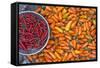 Chillies, Sapa Area, Vietnam, Indochina, Southeast Asia, Asia-Bruno Morandi-Framed Stretched Canvas