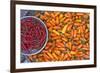 Chillies, Sapa Area, Vietnam, Indochina, Southeast Asia, Asia-Bruno Morandi-Framed Photographic Print