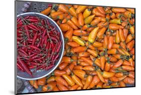 Chillies, Sapa Area, Vietnam, Indochina, Southeast Asia, Asia-Bruno Morandi-Mounted Photographic Print