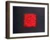 Chillies-Lincoln Seligman-Framed Giclee Print