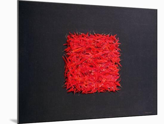 Chillies-Lincoln Seligman-Mounted Giclee Print