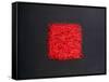Chillies-Lincoln Seligman-Framed Stretched Canvas