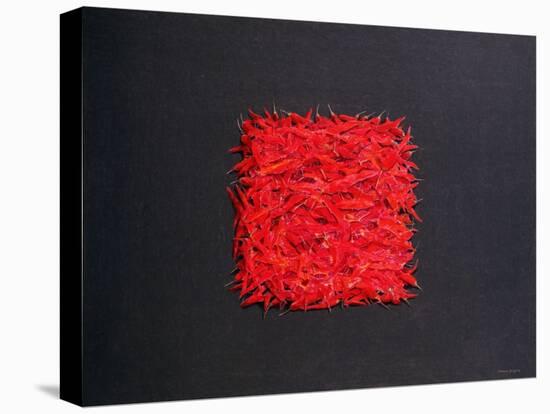 Chillies-Lincoln Seligman-Stretched Canvas