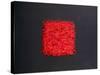 Chillies-Lincoln Seligman-Stretched Canvas