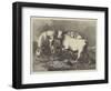 Chillingham Wild Cattle-George Bouverie Goddard-Framed Giclee Print