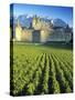 Chillon Chateau, Switzerland-Peter Adams-Stretched Canvas