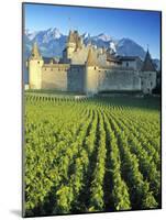 Chillon Chateau, Switzerland-Peter Adams-Mounted Photographic Print