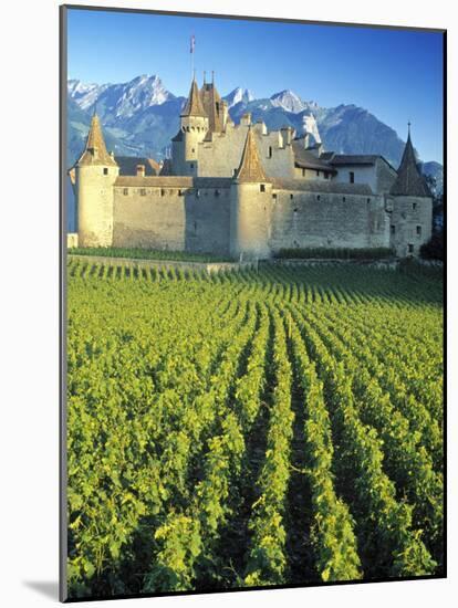 Chillon Chateau, Switzerland-Peter Adams-Mounted Photographic Print