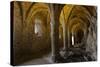 Chillon Medieval Castle Vault Room, Geneva, Switzerland-smithore-Stretched Canvas