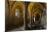 Chillon Medieval Castle Vault Room, Geneva, Switzerland-smithore-Mounted Photographic Print