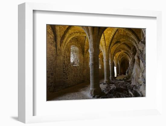 Chillon Medieval Castle Vault Room, Geneva, Switzerland-smithore-Framed Photographic Print