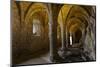 Chillon Medieval Castle Vault Room, Geneva, Switzerland-smithore-Mounted Photographic Print