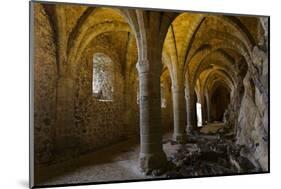 Chillon Medieval Castle Vault Room, Geneva, Switzerland-smithore-Mounted Photographic Print