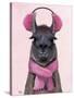 Chilly Llama Pink-Fab Funky-Stretched Canvas