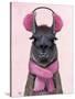 Chilly Llama Pink-Fab Funky-Stretched Canvas