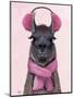 Chilly Llama Pink-Fab Funky-Mounted Art Print