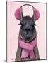 Chilly Llama Pink-Fab Funky-Mounted Art Print