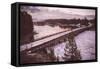 Chilly Morning at Fishing Bridge, Yellowstone Wyoming-Vincent James-Framed Stretched Canvas