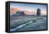 Chilly Morning at Mormon Row, Grand Teton Wyoming-Vincent James-Framed Stretched Canvas