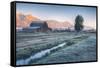 Chilly Morning at Mormon Row, Grand Teton Wyoming-Vincent James-Framed Stretched Canvas