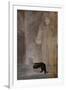 Chimera (1910)-Fernand Khnopff-Framed Giclee Print