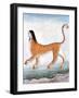 Chimera, Legendary Creature-Science Source-Framed Giclee Print