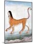 Chimera, Legendary Creature-Science Source-Mounted Giclee Print