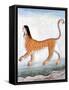 Chimera, Legendary Creature-Science Source-Framed Stretched Canvas