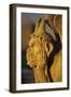 Chimera, Notre Dame Cathedral, Paris, France-David Barnes-Framed Photographic Print