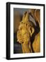 Chimera, Notre Dame Cathedral, Paris, France-David Barnes-Framed Photographic Print