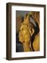 Chimera, Notre Dame Cathedral, Paris, France-David Barnes-Framed Photographic Print