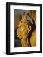 Chimera, Notre Dame Cathedral, Paris, France-David Barnes-Framed Photographic Print