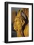 Chimera, Notre Dame Cathedral, Paris, France-David Barnes-Framed Photographic Print