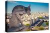 Chimera Notre Dame-Paris-null-Stretched Canvas