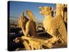 Chimeras of Notre Dame Cathedral, Paris, France-David Barnes-Stretched Canvas