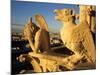 Chimeras of Notre Dame Cathedral, Paris, France-David Barnes-Mounted Photographic Print