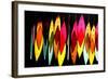 Chimes II-Leesa White-Framed Photographic Print