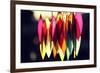 Chimes III-Leesa White-Framed Photographic Print