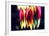 Chimes III-Leesa White-Framed Photographic Print