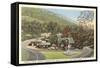 Chimney Corner, Gauley Bridge, West Virginia-null-Framed Stretched Canvas