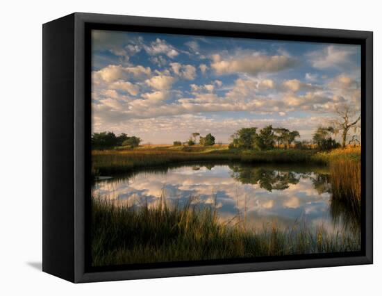 Chimney Creek Reflections, Tybee Island, Savannah, Georgia-Joanne Wells-Framed Stretched Canvas