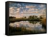 Chimney Creek Reflections, Tybee Island, Savannah, Georgia-Joanne Wells-Framed Stretched Canvas